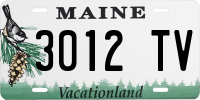 ME license plate 3012TV