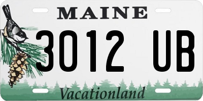 ME license plate 3012UB