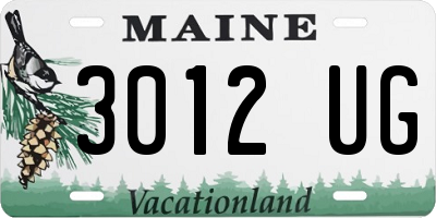 ME license plate 3012UG