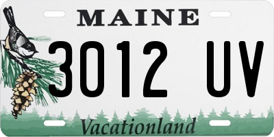 ME license plate 3012UV