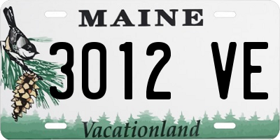 ME license plate 3012VE