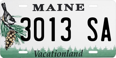 ME license plate 3013SA