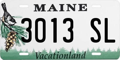 ME license plate 3013SL