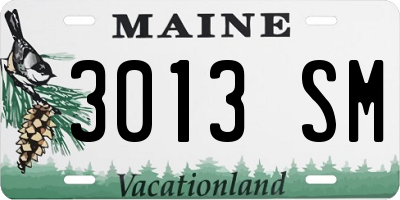 ME license plate 3013SM