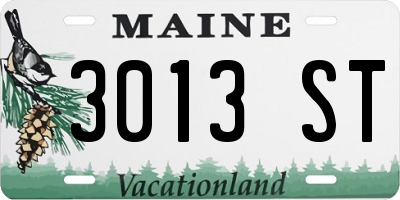 ME license plate 3013ST
