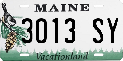 ME license plate 3013SY