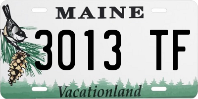 ME license plate 3013TF