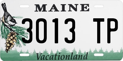ME license plate 3013TP