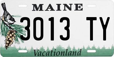 ME license plate 3013TY