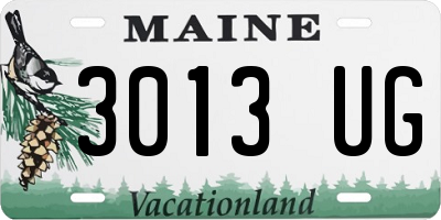 ME license plate 3013UG