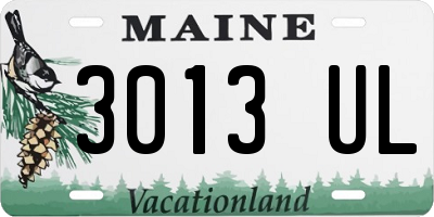 ME license plate 3013UL