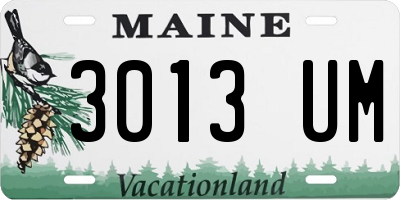 ME license plate 3013UM