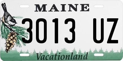 ME license plate 3013UZ