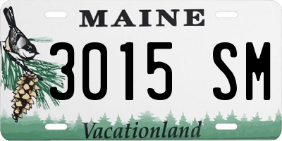 ME license plate 3015SM