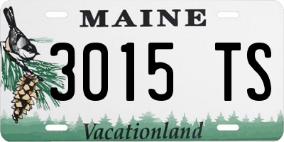 ME license plate 3015TS