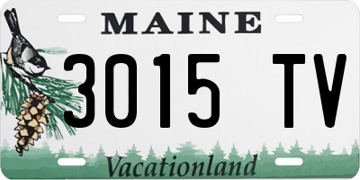ME license plate 3015TV