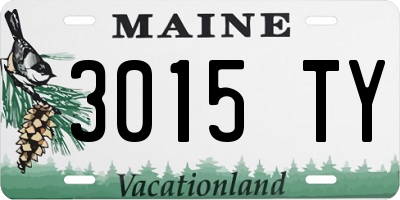 ME license plate 3015TY