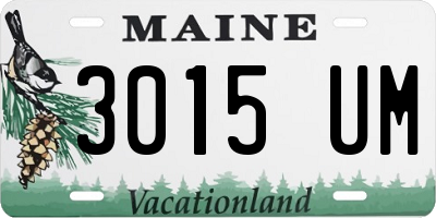 ME license plate 3015UM