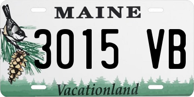 ME license plate 3015VB