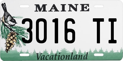 ME license plate 3016TI