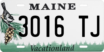 ME license plate 3016TJ
