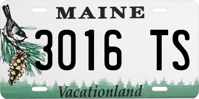 ME license plate 3016TS