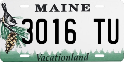 ME license plate 3016TU