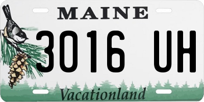 ME license plate 3016UH