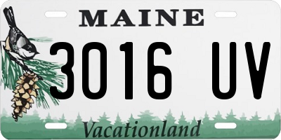 ME license plate 3016UV