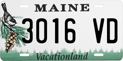 ME license plate 3016VD