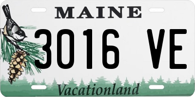 ME license plate 3016VE