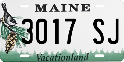 ME license plate 3017SJ