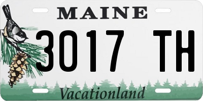 ME license plate 3017TH