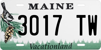 ME license plate 3017TW