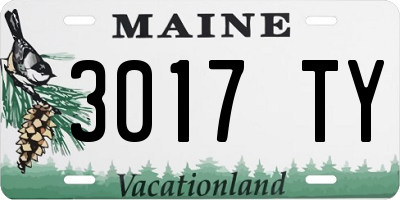 ME license plate 3017TY