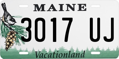 ME license plate 3017UJ