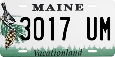 ME license plate 3017UM