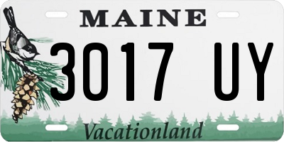 ME license plate 3017UY