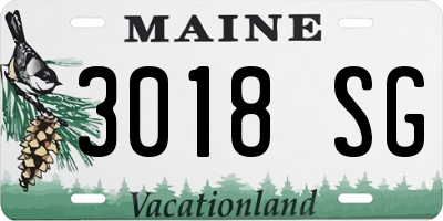 ME license plate 3018SG