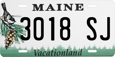 ME license plate 3018SJ