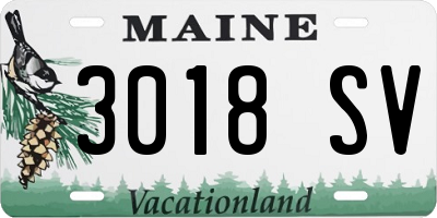 ME license plate 3018SV