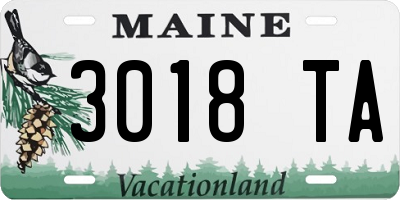 ME license plate 3018TA