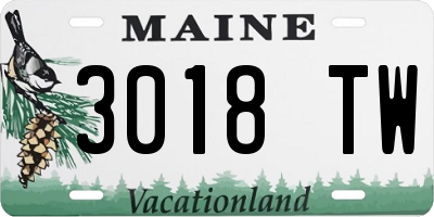 ME license plate 3018TW