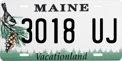 ME license plate 3018UJ