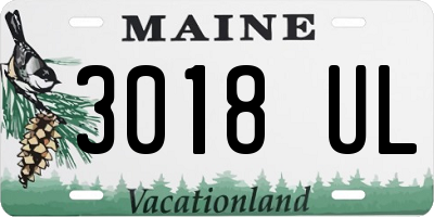 ME license plate 3018UL