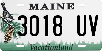 ME license plate 3018UV