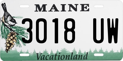 ME license plate 3018UW