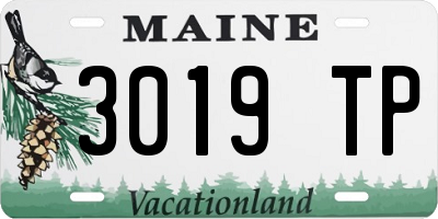 ME license plate 3019TP