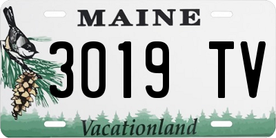 ME license plate 3019TV