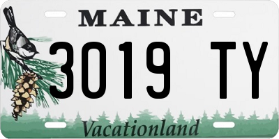 ME license plate 3019TY